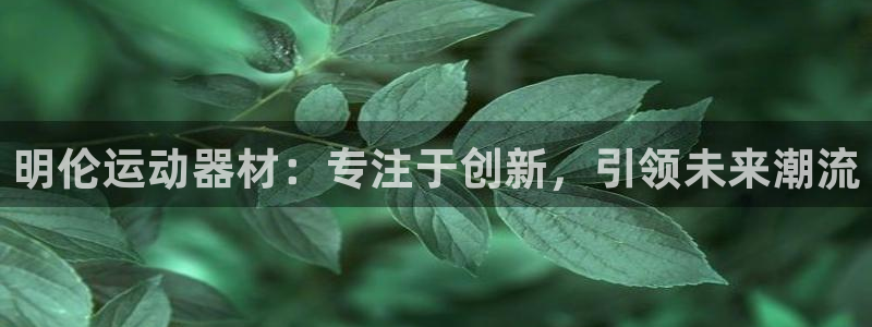 fb体育官方：明伦运动器材：专注于创新，引领未来潮流