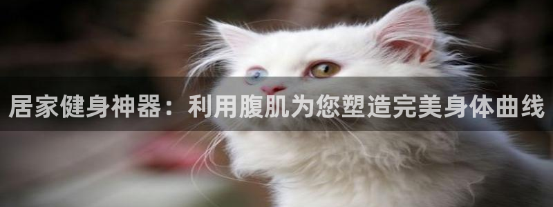 fb体育新能源：居家健身神器：利用腹肌为您塑造完美身