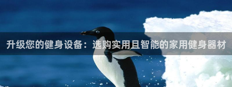 fb体育神州：升级您的健身设备：选购实用且智能的家用