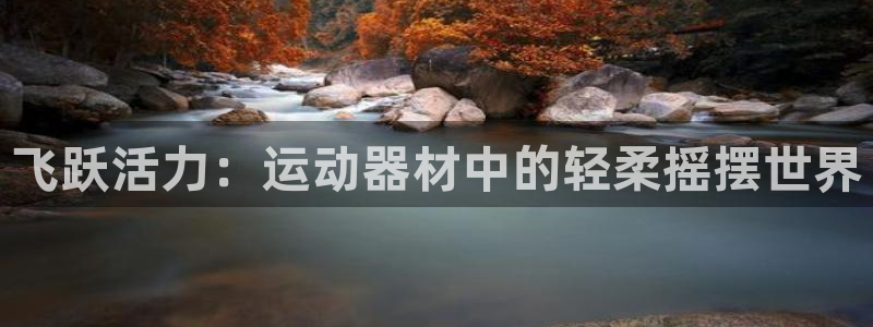 fb体育平台注册要钱吗：飞跃活力：运动器材中的轻柔摇