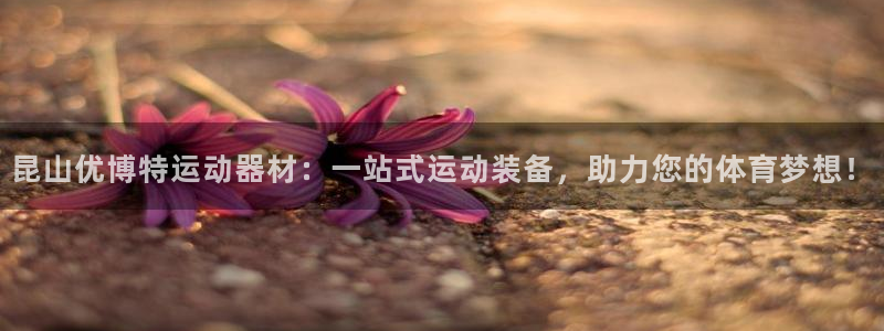 fb体育平台假的吗是真的吗吗：昆山优博特运动器材：一