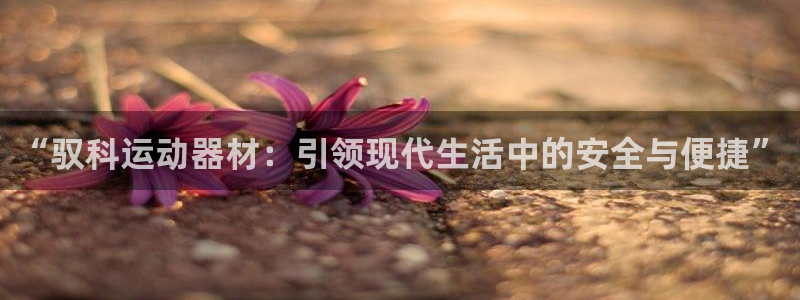 fb体育神州：“驭科运动器材：引领现代生活中的安全与