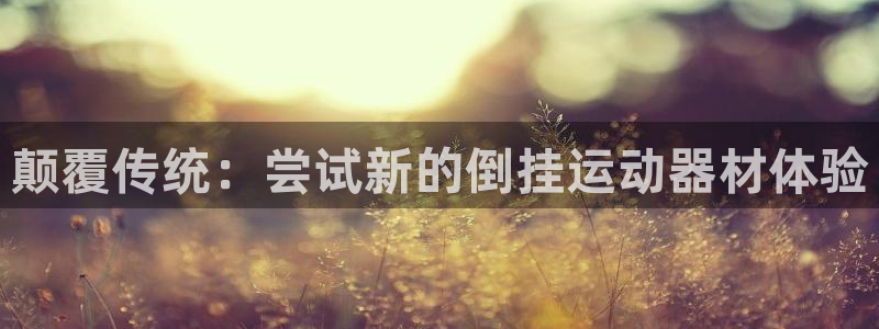fb体育新能源：颠覆传统：尝试新的倒挂运动器材体验