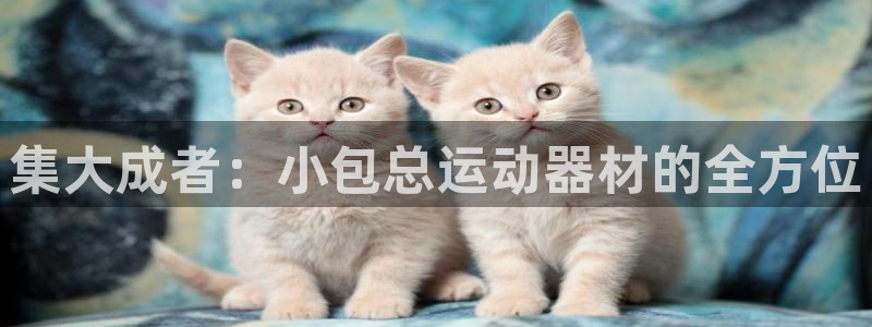 fb体育招商电话是多少号码：集大成者：小包总运动器材