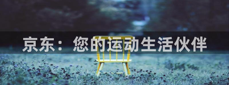 fb体育注册：京东：您的运动生活伙伴