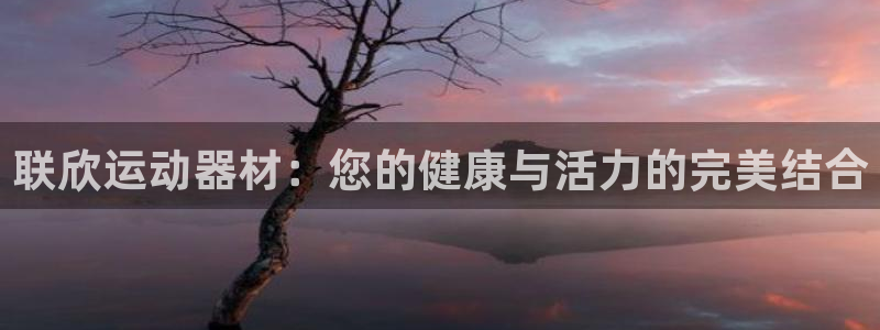 fb体育平台是正规平台吗安全吗：联欣运动器材：您的健