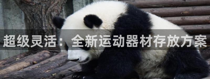 fb体育招商电话号码是多少啊：超级灵活：全新运动器材存放方案