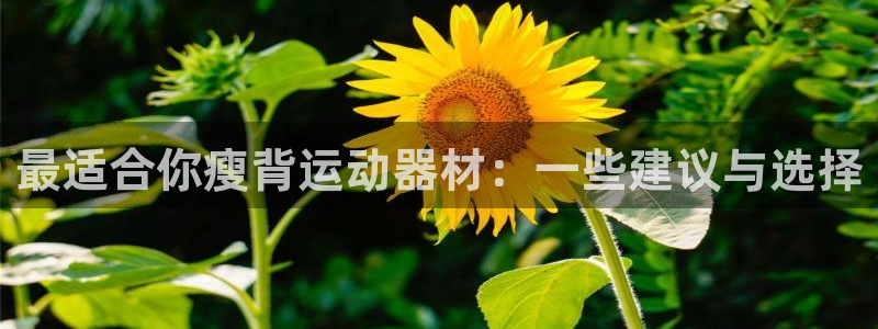 fb体育平台是正规平台吗：最适合你瘦背运动器材：一些