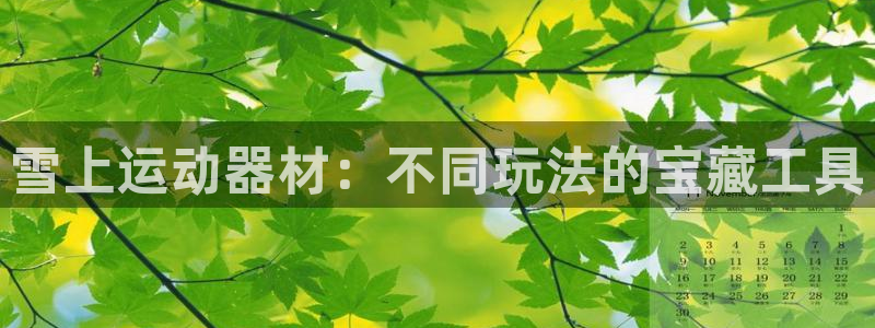 fb体育平台注册流程视频：雪上运动器材：不同玩法的宝