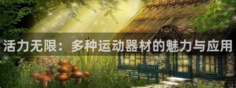fb体育平台是正规平台吗：活力无限：多种运动器材的魅