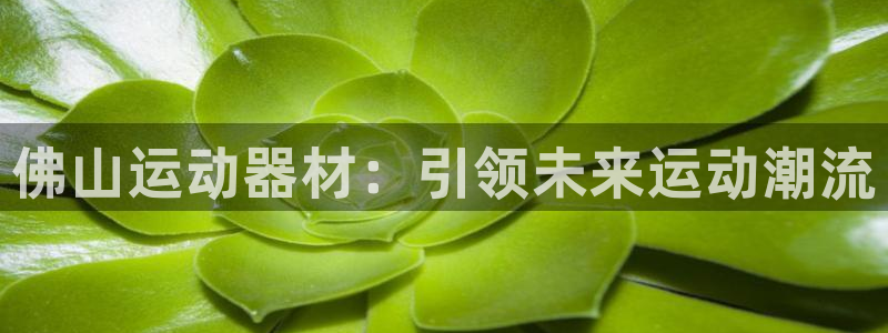 fb体育娱乐下载：佛山运动器材：引领未来运动潮流