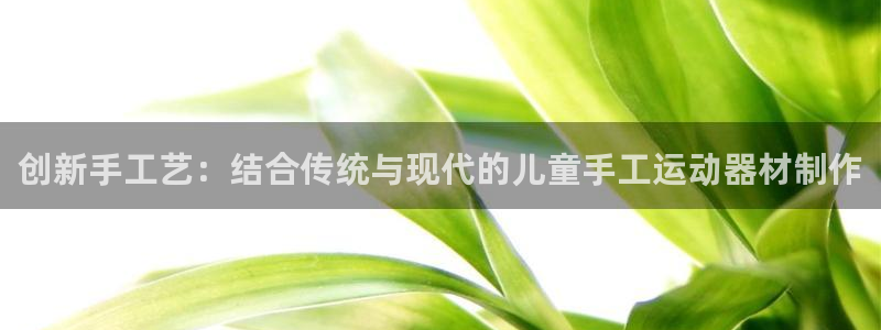 德国fb体育集团：创新手工艺：结合传统与现代的儿童手工运动器