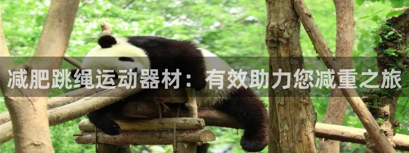 fb体育集团：减肥跳绳运动器材：有效助力您减重之旅